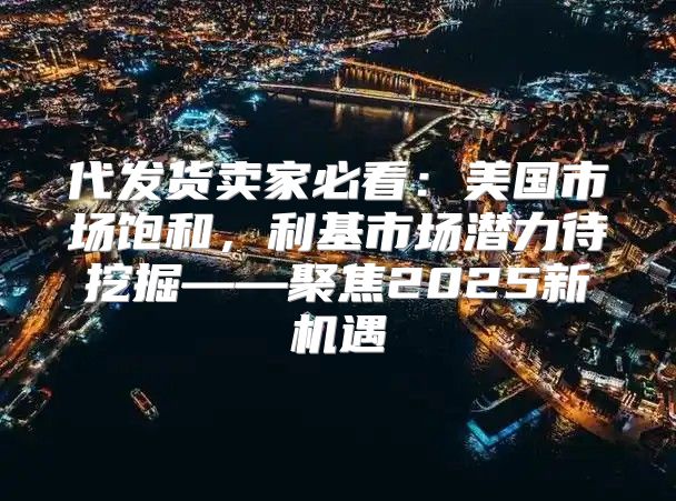 代发货卖家必看：美国市场饱和，利基市场潜力待挖掘——聚焦2025新机遇