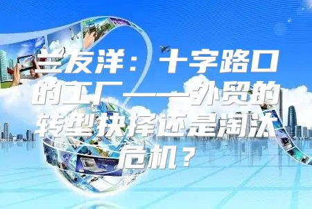 兰友洋：十字路口的工厂——外贸的转型抉择还是淘汰危机？