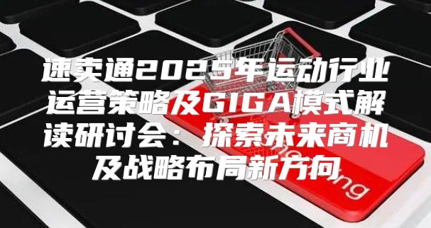 速卖通2025年运动行业运营策略及GIGA模式解读研讨会：探索未来商机及战略布局新方向