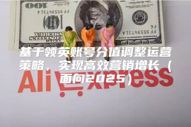基于领英账号分值调整运营策略，实现高效营销增长面向2025