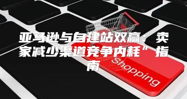 亚马逊与自建站双赢：卖家减少渠道竞争内耗”指南