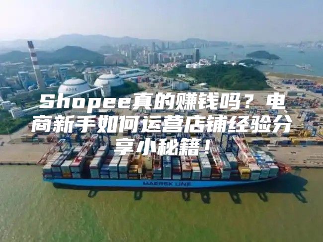 Shopee真的赚钱吗？电商新手如何运营店铺经验分享小秘籍！