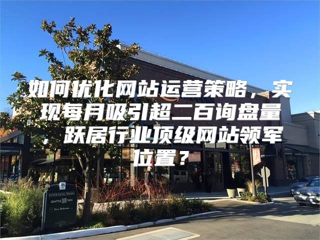 如何优化网站运营策略，实现每月吸引超二百询盘量，跃居行业顶级网站领军位置？