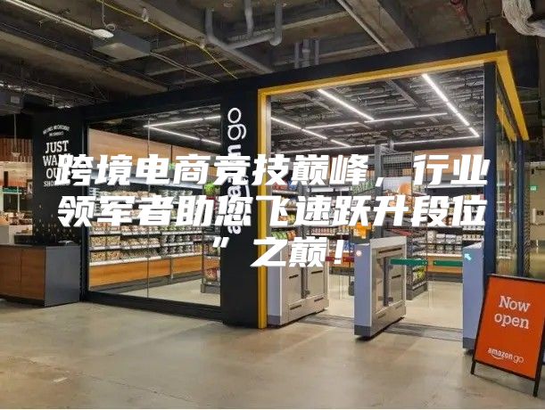 跨境电商竞技巅峰，行业领军者助您飞速跃升段位”之巅！