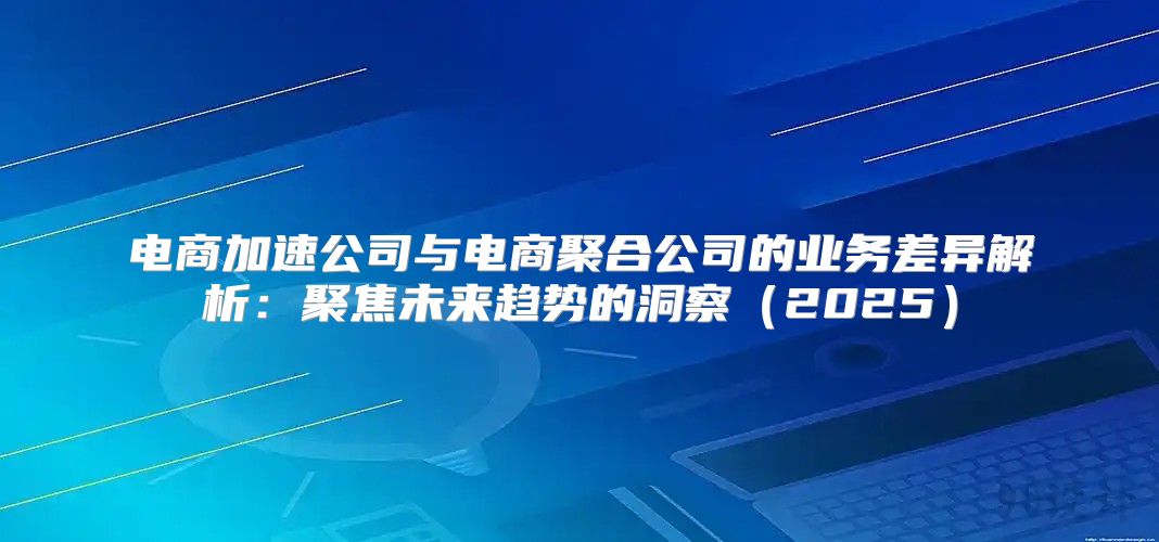 电商加速公司与电商聚合公司的业务差异解析：聚焦未来趋势的洞察2025