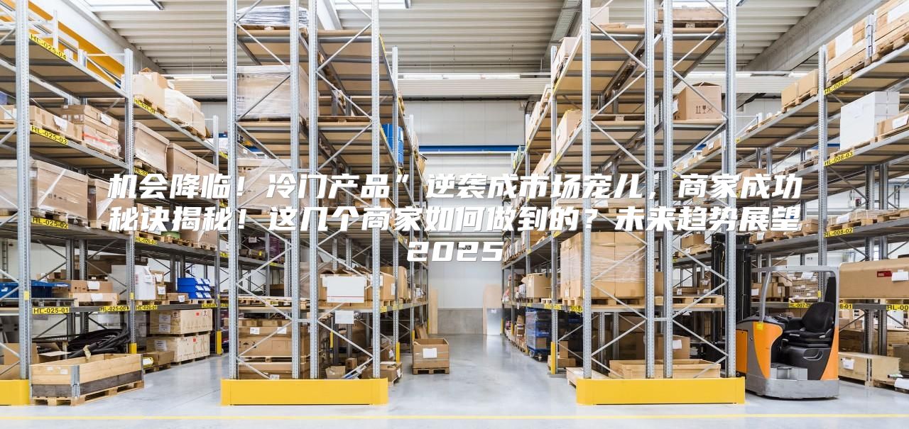 机会降临！冷门产品”逆袭成市场宠儿，商家成功秘诀揭秘！这几个商家如何做到的？未来趋势展望2025