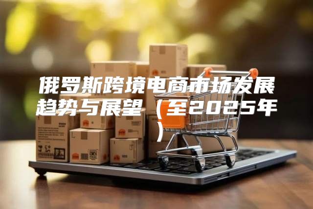 俄罗斯跨境电商市场发展趋势与展望至2025年