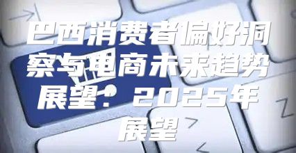 巴西消费者偏好洞察与电商未来趋势展望：2025年展望