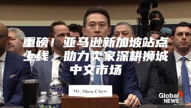 重磅！亚马逊新加坡站点上线，助力卖家深耕狮城中文市场