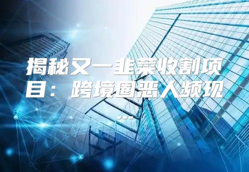 揭秘又一韭菜收割项目：跨境圈恶人频现...