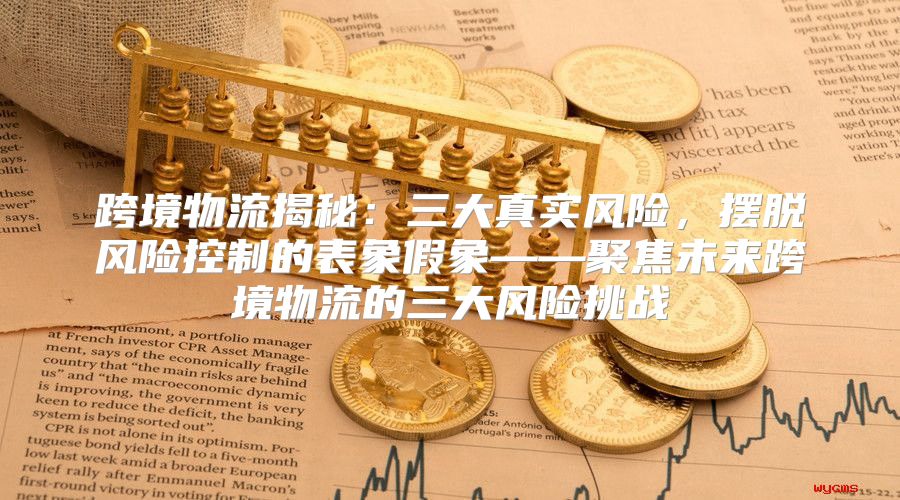 跨境物流揭秘：三大真实风险，摆脱风险控制的表象假象——聚焦未来跨境物流的三大风险挑战