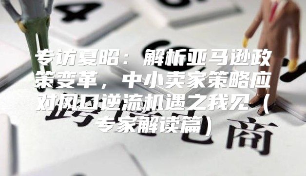 专访夏昭：解析亚马逊政策变革，中小卖家策略应对风口逆流机遇之我见专家解读篇