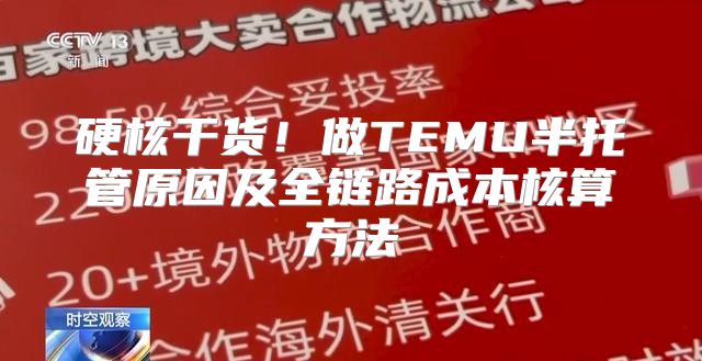 硬核干货！做TEMU半托管原因及全链路成本核算方法