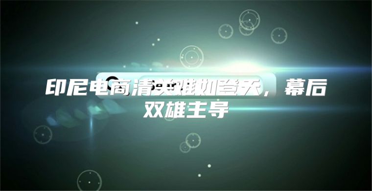 印尼电商清关难如登天，幕后双雄主导