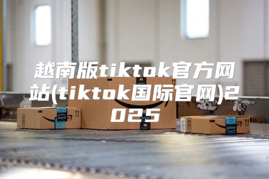 越南版tiktok官方网站(tiktok国际官网)2025
