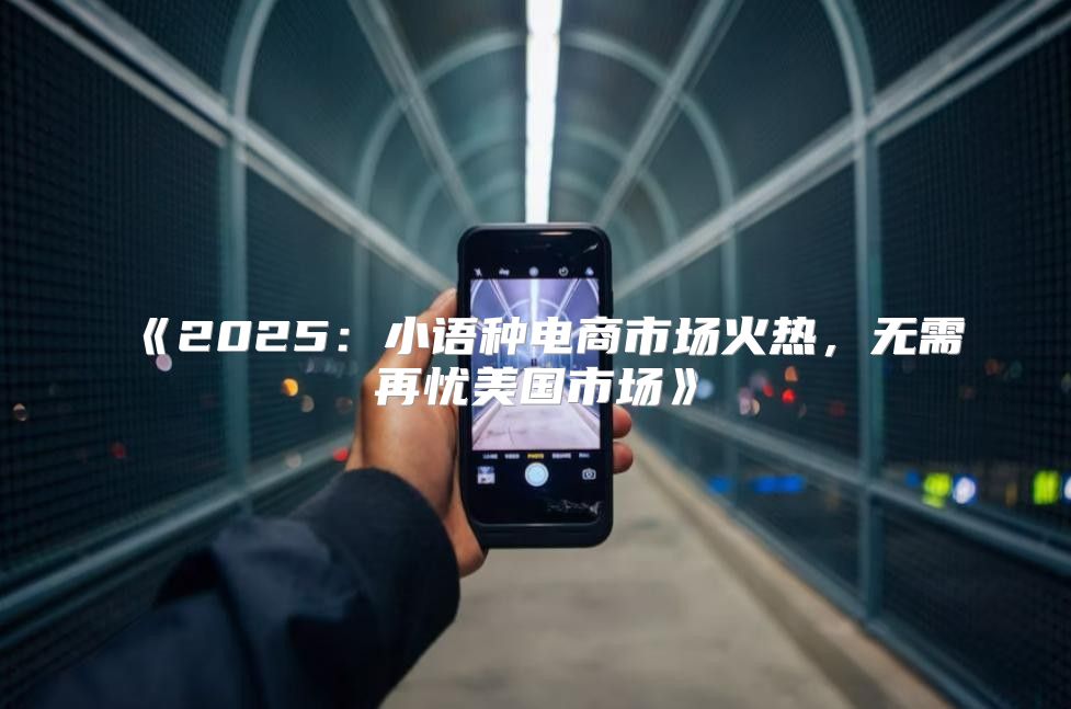 2025小语种电商市场火热，无需再忧美国市场