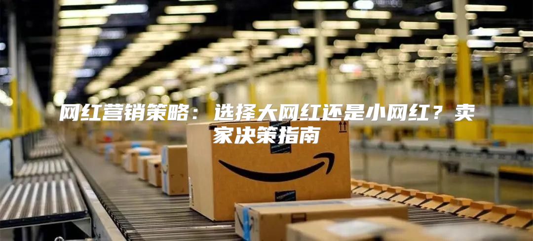 网红营销策略：选择大网红还是小网红？卖家决策指南