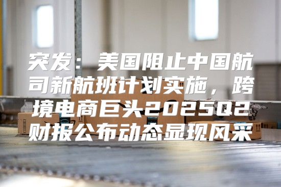 突发：美国阻止中国航司新航班计划实施，跨境电商巨头2025Q2财报公布动态显现风采