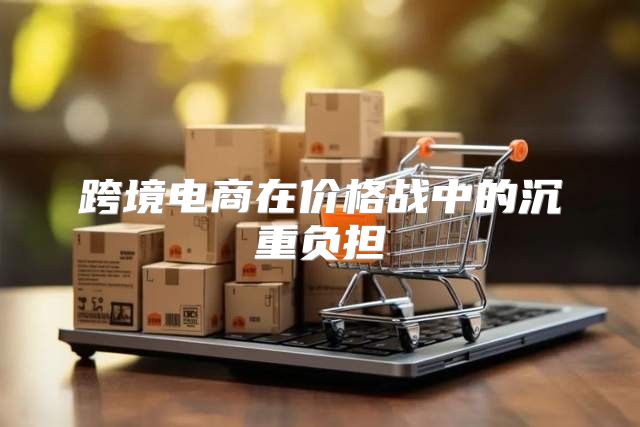 跨境电商在价格战中的沉重负担
