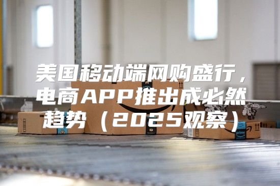 美国移动端网购盛行，电商APP推出成必然趋势2025观察