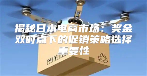 揭秘日本电商市场：奖金双时点下的促销策略选择重要性