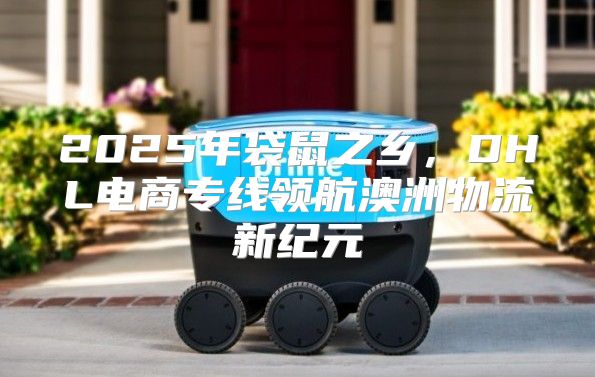 2025年袋鼠之乡，DHL电商专线领航澳洲物流新纪元