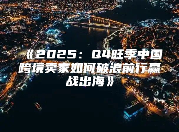 2025Q4旺季中国跨境卖家如何破浪前行赢战出海