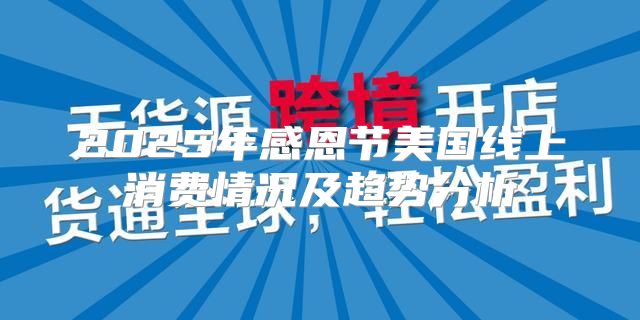 2025年感恩节美国线上消费情况及趋势分析