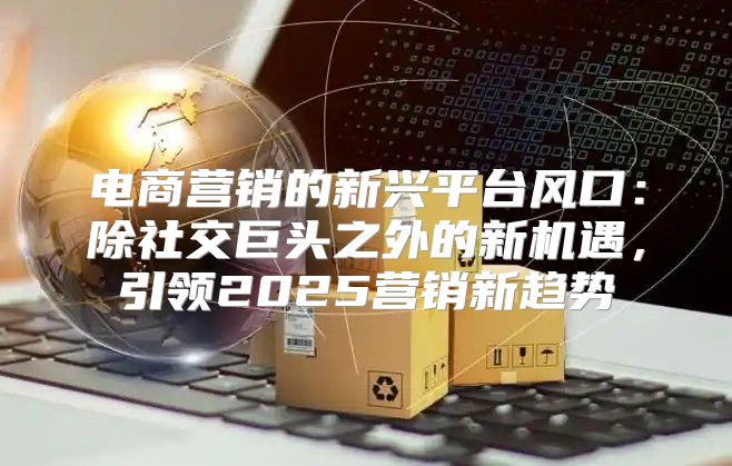 电商营销的新兴平台风口：除社交巨头之外的新机遇，引领2025营销新趋势