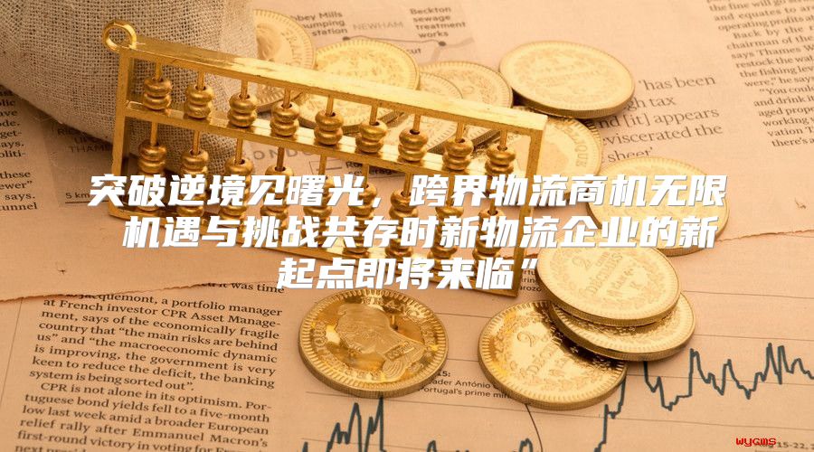 突破逆境见曙光，跨界物流商机无限 机遇与挑战共存时新物流企业的新起点即将来临”