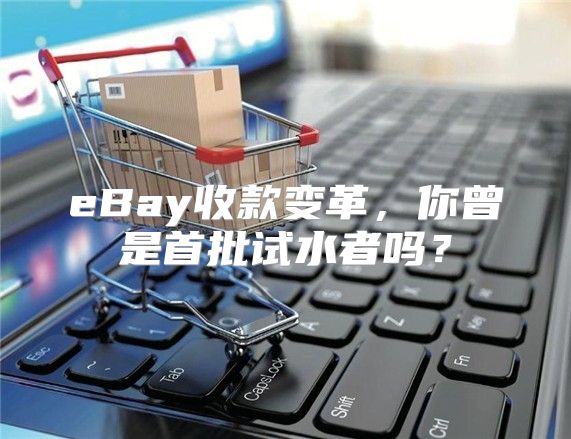 eBay收款变革，你曾是首批试水者吗？