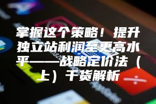 掌握这个策略！提升独立站利润至更高水平——战略定价法上干货解析