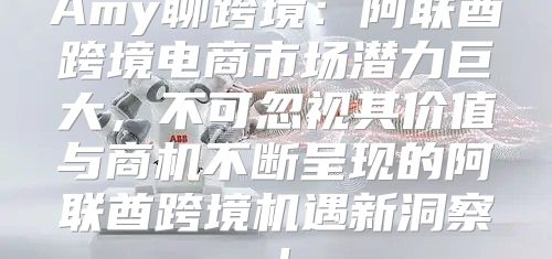 Amy聊跨境：阿联酋跨境电商市场潜力巨大，不可忽视其价值与商机不断呈现的阿联酋跨境机遇新洞察！