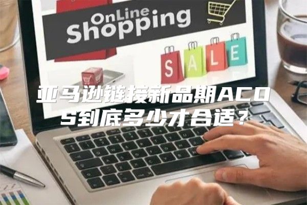 亚马逊链接新品期ACOS到底多少才合适？