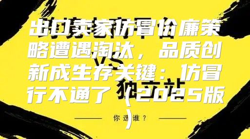 出口卖家仿冒价廉策略遭遇淘汰，品质创新成生存关键：仿冒行不通了2025版