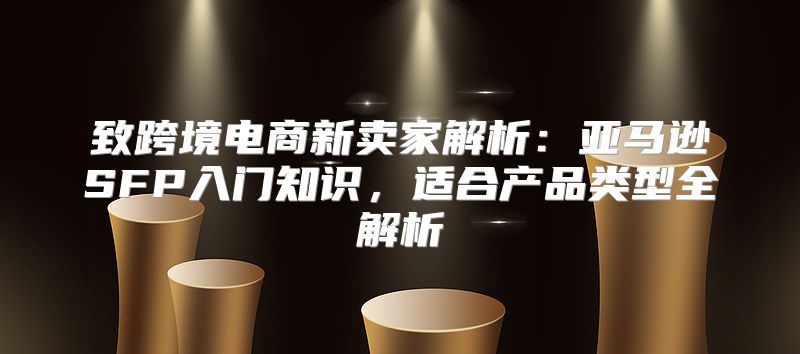 致跨境电商新卖家解析：亚马逊SFP入门知识，适合产品类型全解析