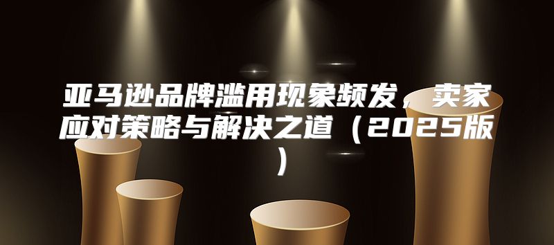 亚马逊品牌滥用现象频发，卖家应对策略与解决之道2025版
