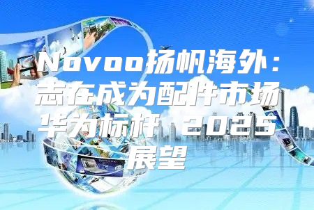 Novoo扬帆海外：志在成为配件市场华为标杆 2025展望