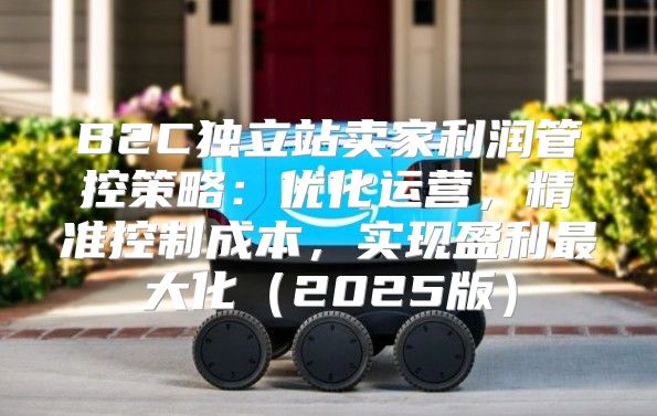 B2C独立站卖家利润管控策略：优化运营，精准控制成本，实现盈利最大化2025版