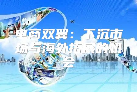 电商双翼：下沉市场与海外拓展的机会
