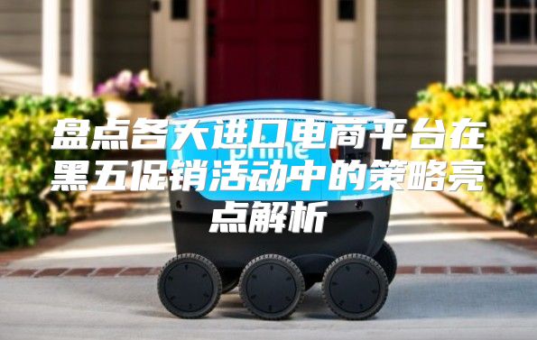 盘点各大进口电商平台在黑五促销活动中的策略亮点解析