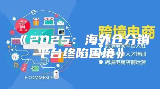 2025海外仓分销平台终陷困境