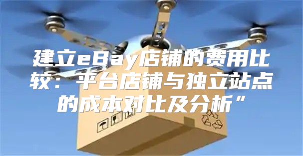 建立eBay店铺的费用比较：平台店铺与独立站点的成本对比及分析”