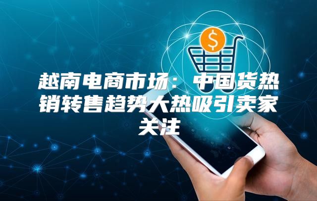 越南电商市场：中国货热销转售趋势大热吸引卖家关注