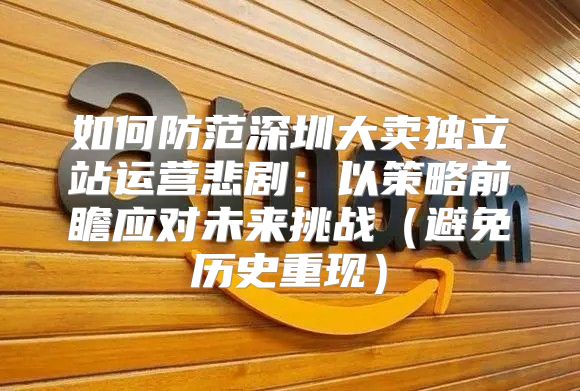 如何防范深圳大卖独立站运营悲剧：以策略前瞻应对未来挑战避免历史重现
