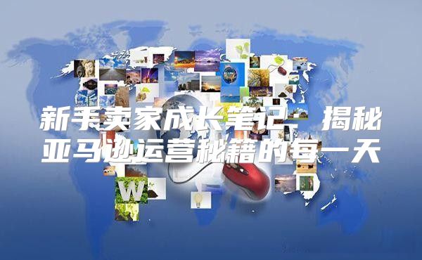 新手卖家成长笔记：揭秘亚马逊运营秘籍的每一天