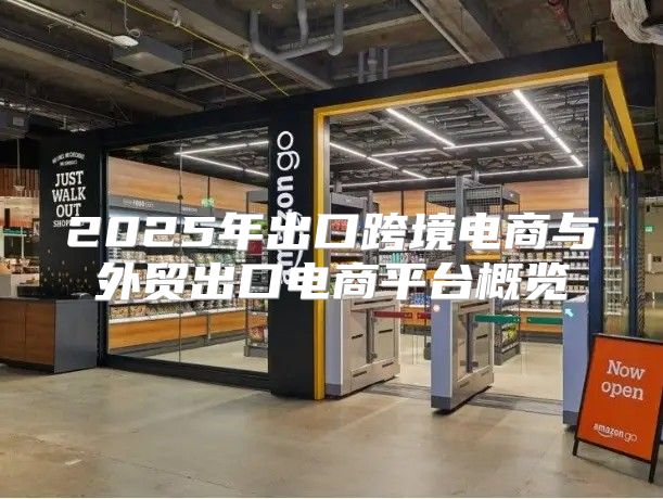 2025年出口跨境电商与外贸出口电商平台概览
