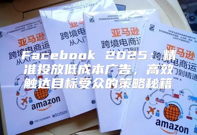 Facebook 2025精准投放低成本广告，高效触达目标受众的策略秘籍