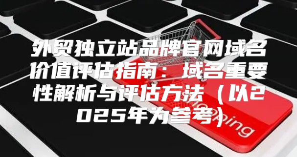 外贸独立站品牌官网域名价值评估指南：域名重要性解析与评估方法以2025年为参考