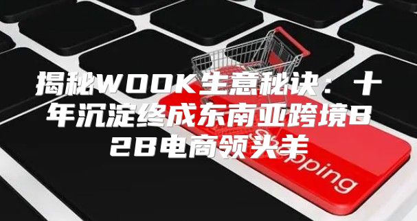 揭秘WOOK生意秘诀：十年沉淀终成东南亚跨境B2B电商领头羊